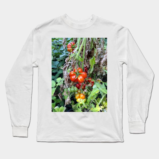 A toothed tomato Long Sleeve T-Shirt by Gourmetkater